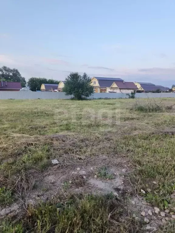 Участок в Татарстан, Тукаевский район, Новотроицкое с/пос, д. Суровка ... - Фото 2