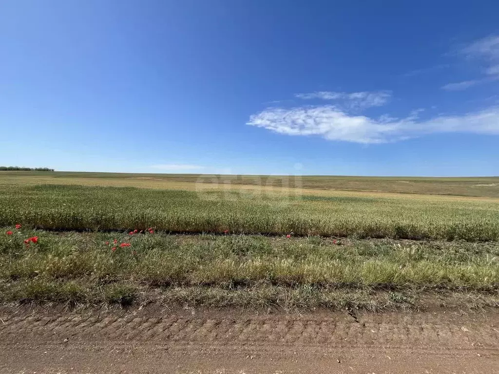 Участок в Крым, Сакский район, с. Митяево  (368.0 сот.) - Фото 1