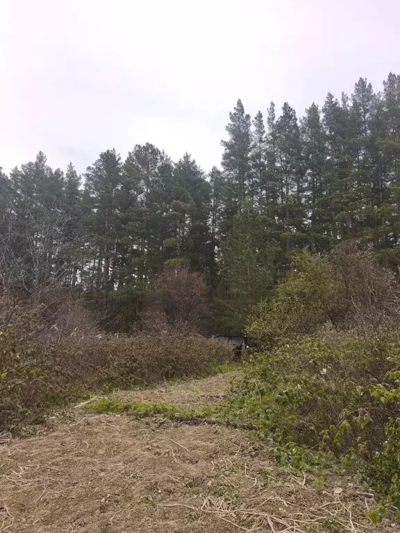 Участок в Свердловская область, Сысертский муниципальный округ, ... - Фото 2