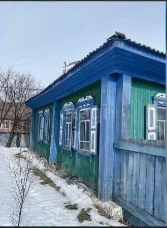 Дом в Тюменская область, с. Большое Сорокино ул. Зои Космодемьянской ... - Фото 0