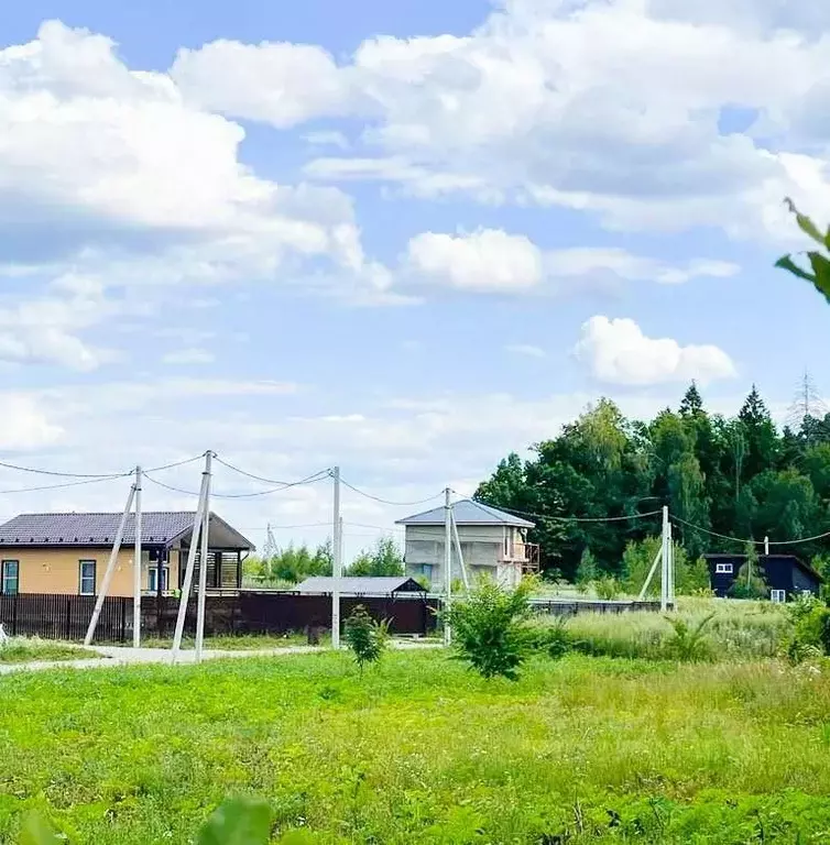 Участок в Московская область, Пушкинский городской округ, д. Бортнево  ... - Фото 2
