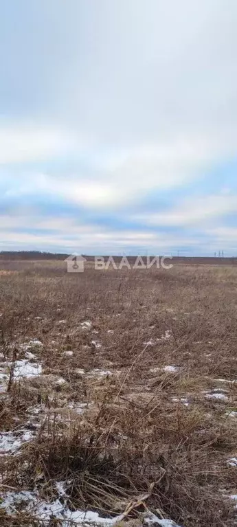 Участок в Вологодская область, пос. Харачево ул. Михайловская (13.69 ... - Фото 1