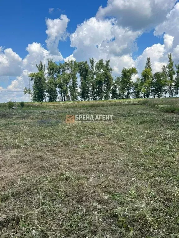 Участок в Белгородская область, Строитель Яковлевский городской округ, ... - Фото 0