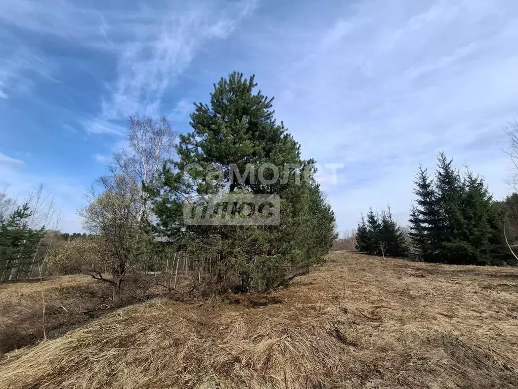 Участок в Москва № 100 кв-л,  (117.0 сот.) - Фото 2