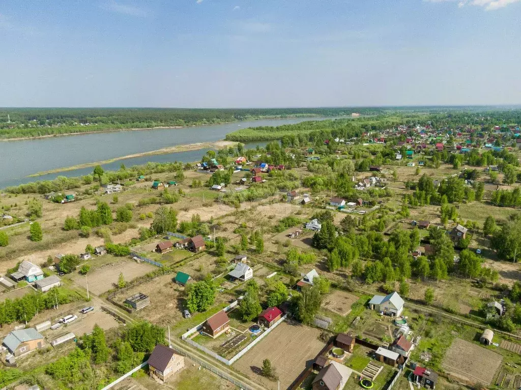 Участок в Новосибирская область, Колыванский район, Ежевичка СНТ  (6.0 ... - Фото 1