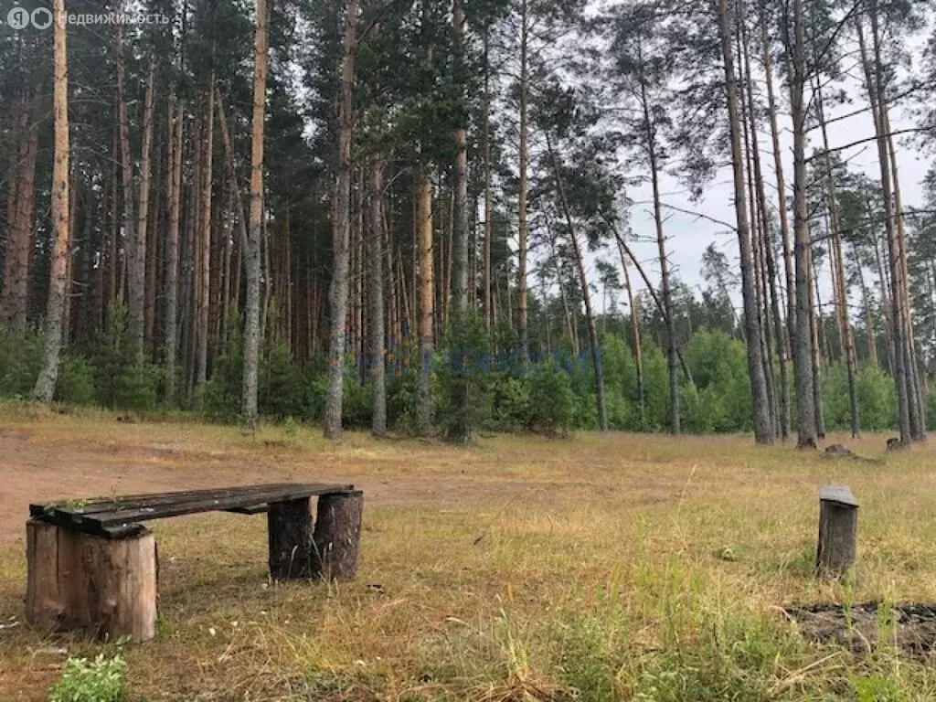 Участок в Нижегородская область, городской округ Сокольский, деревня ... - Фото 1