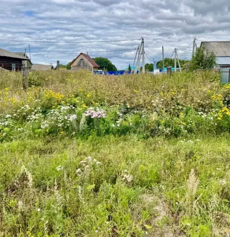 Участок в Тюменская область, Ярковский муниципальный округ, с. ... - Фото 0