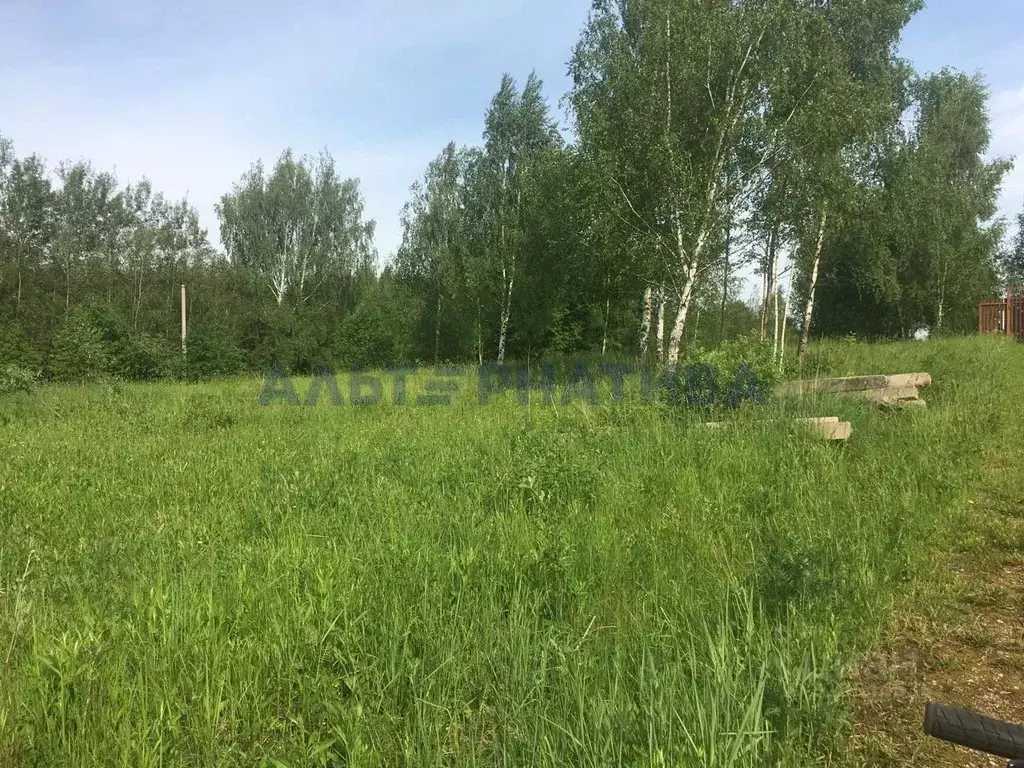 Участок в Ярославская область, Переславль-Залесский муниципальный ... - Фото 2