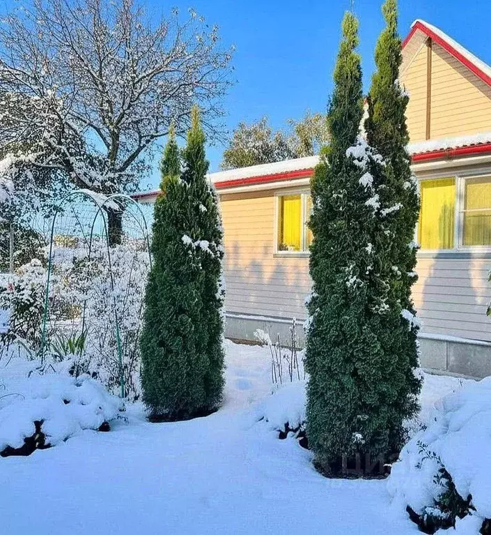 Дом в Московская область, Серпухов городской округ, д. Глазово 2 (63 ... - Фото 1