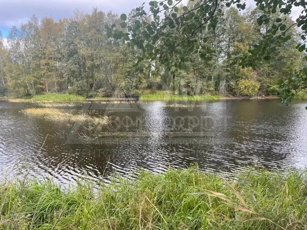 Участок в Ленинградская область, Приозерское городское поселение, пос. ... - Фото 2
