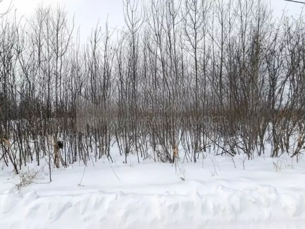 Участок в Тюмень, садовое товарищество Поле Чудес, Виноградная улица ... - Фото 0