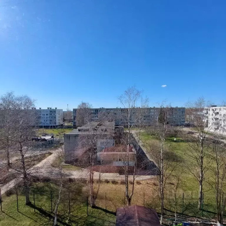 2-к кв. Ленинградская область, Кингисеппский район, пос. Котельский 8 ... - Фото 1