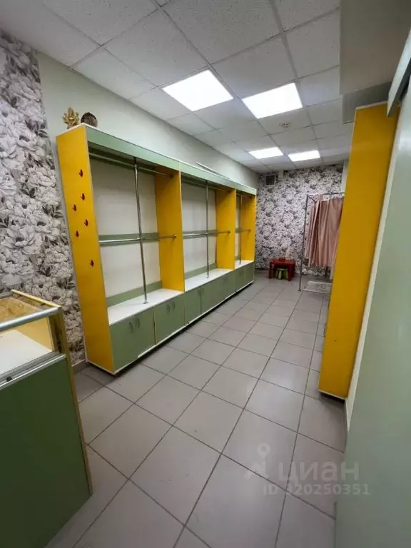 Торговая площадь в Свердловская область, Нижний Тагил просп. Ленина, ... - Фото 0