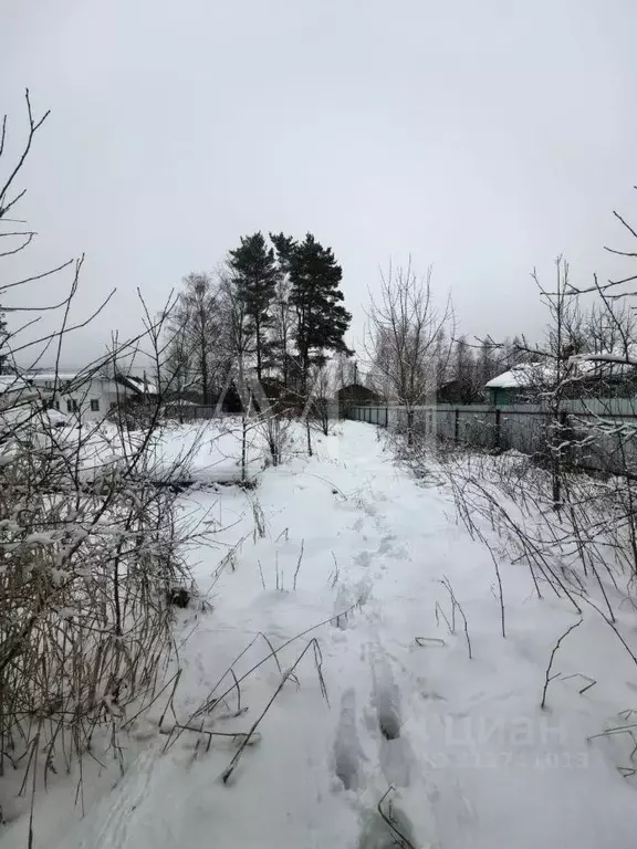 Участок в Московская область, Пушкинский городской округ, с. Софрино ... - Фото 1