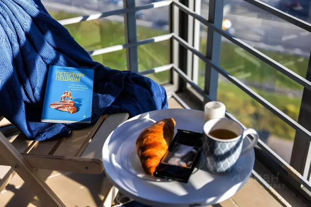 1-к кв. Санкт-Петербург Пулковское ш., 42к6 (33.0 м) - Фото 2