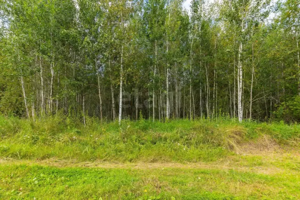 Участок в Тюменская область, Нижнетавдинский муниципальный округ, пос. ... - Фото 1