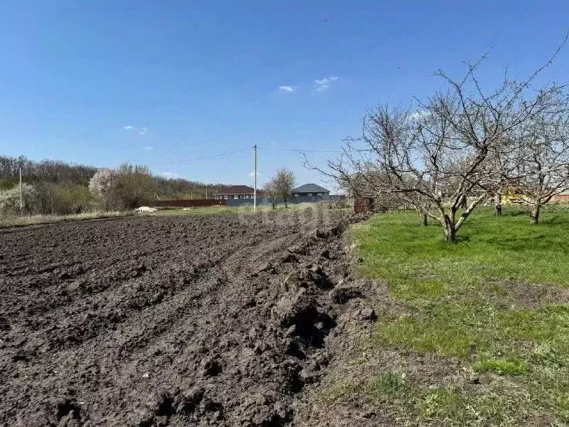 Участок в Белгородская область, Белгородский район, Разумное рп ул. ... - Фото 0