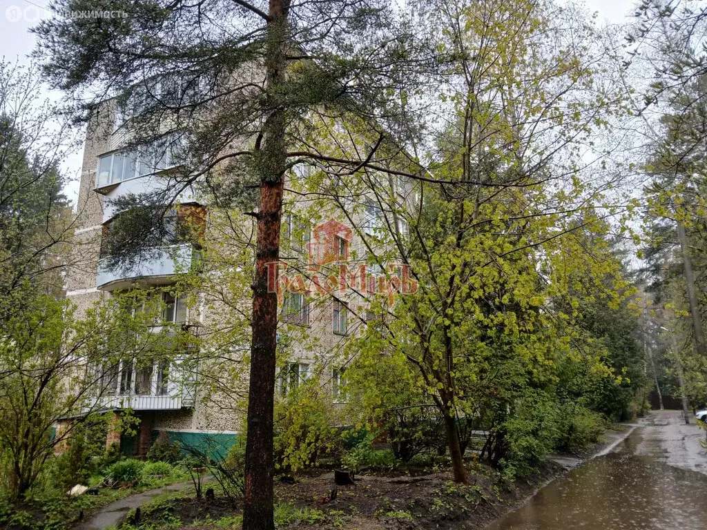 3-комнатная квартира: посёлок городского типа Некрасовский, улица ... - Фото 0