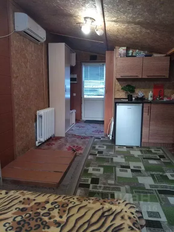 Дом в Алтайский край, Белокуриха ул. Шукшина, 14/2 (28 м) - Фото 2