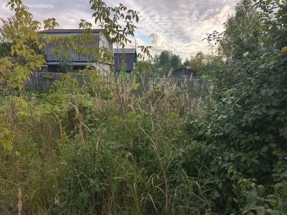 Участок в Казань, СНТ Белянкино (4.5 м) - Фото 1