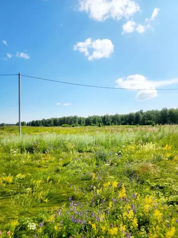 Участок в Свердловская область, Каменский муниципальный округ, д. ... - Фото 1