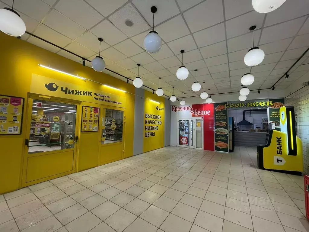 Помещение свободного назначения в Новосибирская область, Новосибирск ... - Фото 1