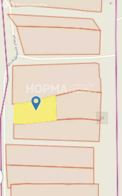 Участок в Бавлинский район, Кзыл-Ярское сельское поселение, деревня ... - Фото 2