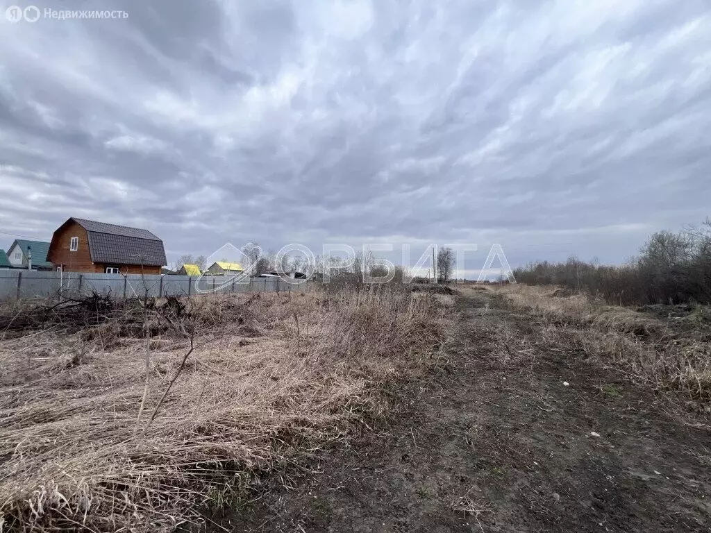 Участок в Тюмень, садовое товарищество Царево, Снежная улица (12.44 м) - Фото 2