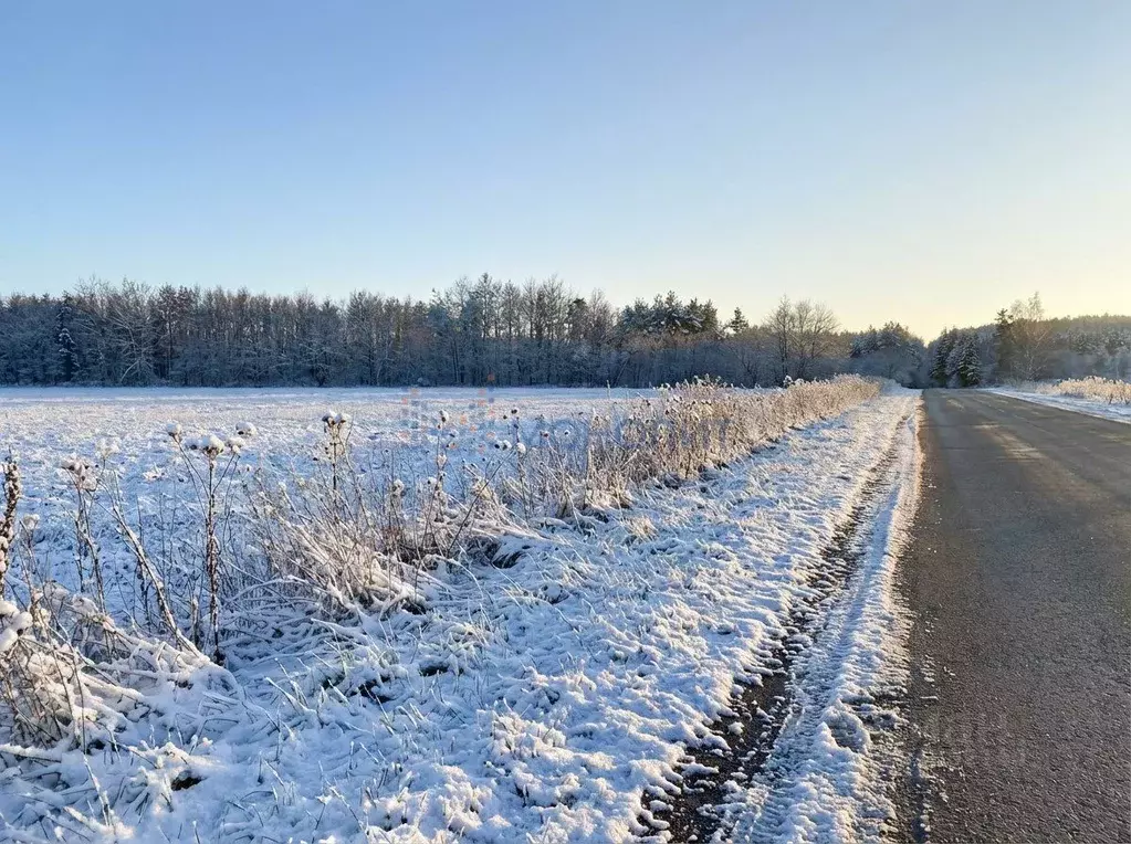 Участок в Нижегородская область, Богородский муниципальный округ, с. ... - Фото 2