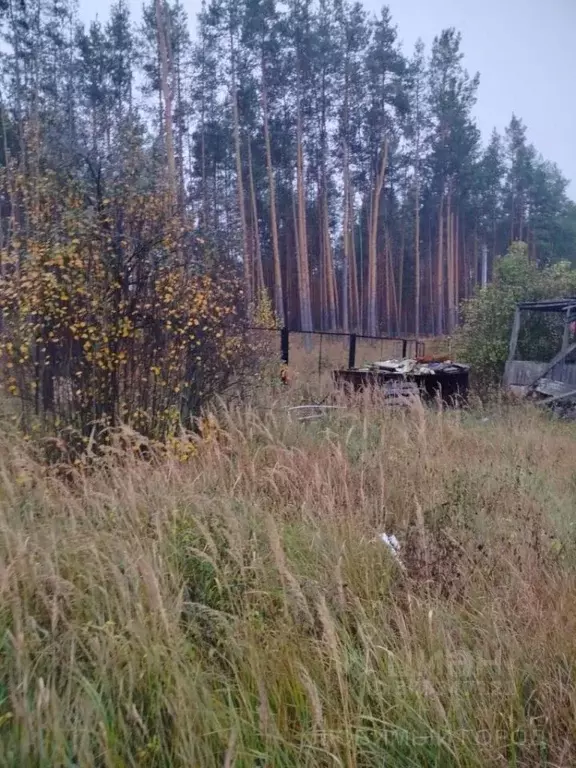 Участок в Нижегородская область, Нижний Новгород Русь СНТ,  (6.0 сот.) - Фото 1