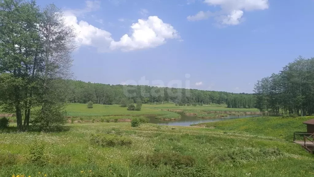 Дом в Тульская область, Богородицкий район, Иевлевское с/пос, с. ... - Фото 1