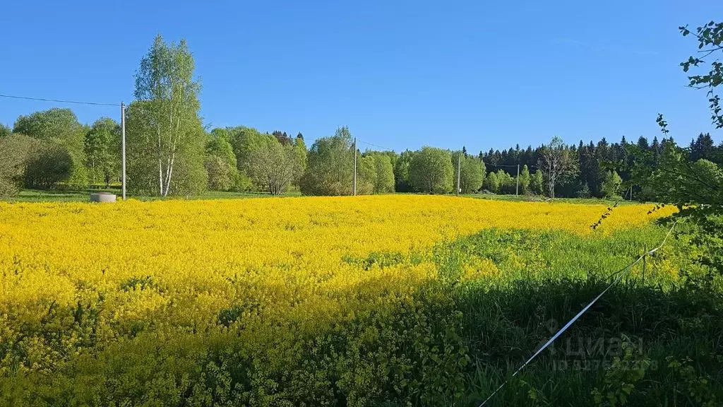 Участок в Московская область, Шаховская муниципальный округ, с. ... - Фото 2