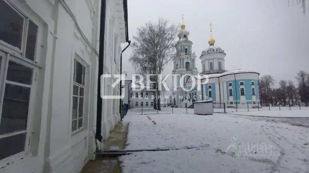 2-к кв. Костромская область, Кострома ул. Чайковского, 6 (29.4 м) - Фото 0