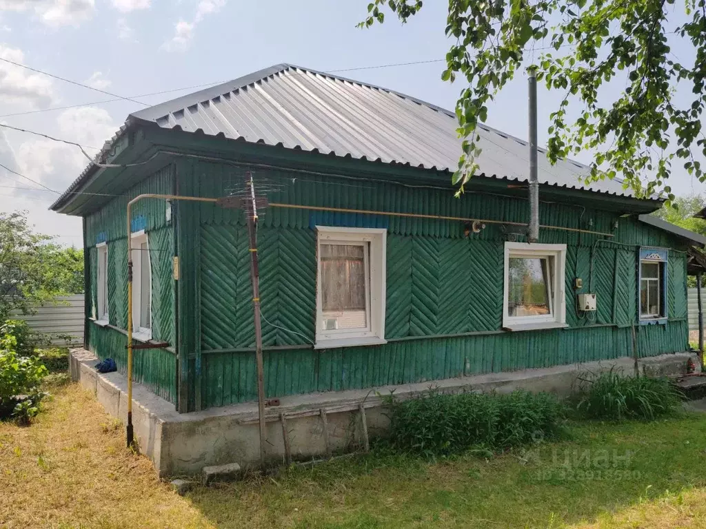 Дом в Алтайский край, Барнаул городской округ, Поселок Борзовая заимка ... - Фото 2