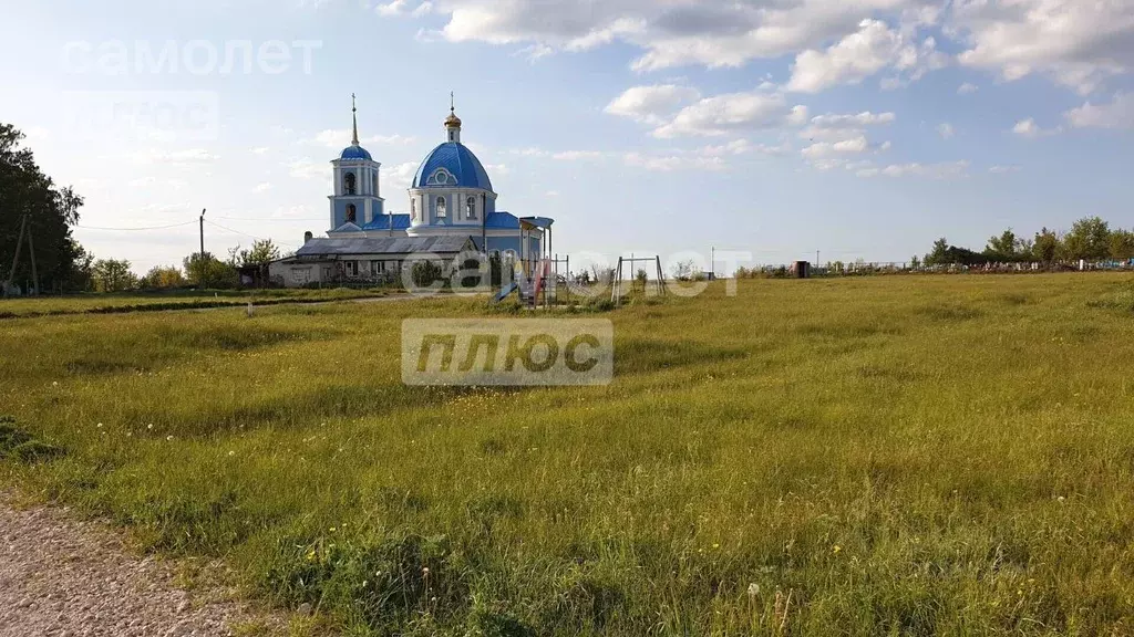 Участок в Липецкая область, Задонский район, Скорняковский сельсовет, ... - Фото 1