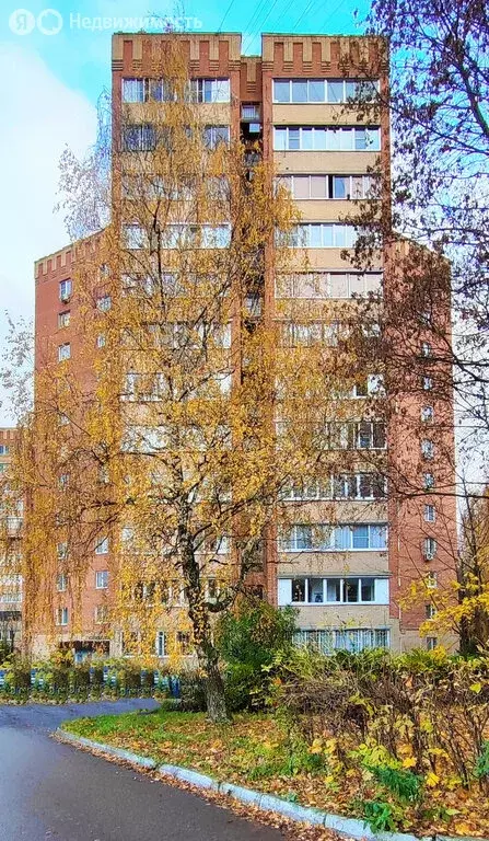 2-комнатная квартира: Воскресенск, микрорайон Новлянский, улица ... - Фото 2