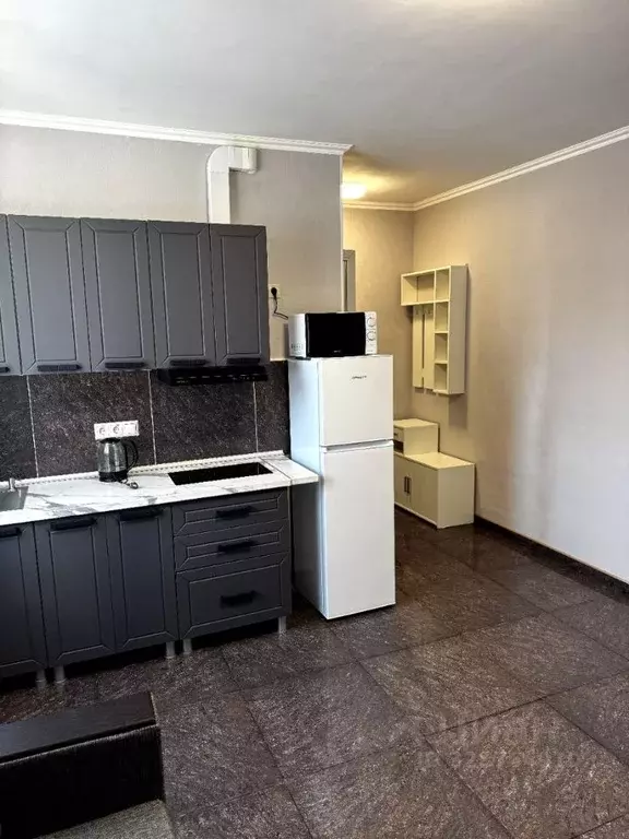 Студия Московская область, Балашиха Щитниково кв-л, 121А (26.0 м) - Фото 2