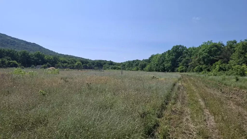 Участок в Крым, Белогорский район, с. Земляничное  (12.0 сот.) - Фото 1