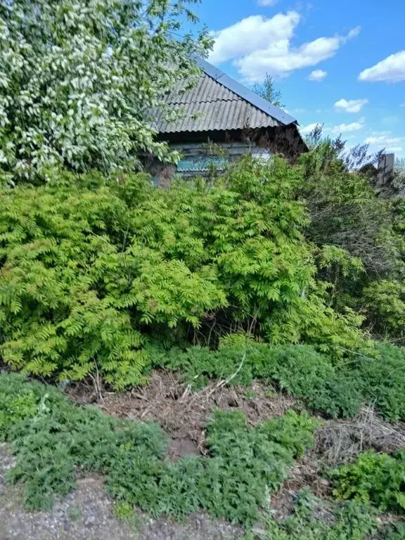 Дом в Иркутская область, Свирск Транспортная ул. (50 м) - Фото 1