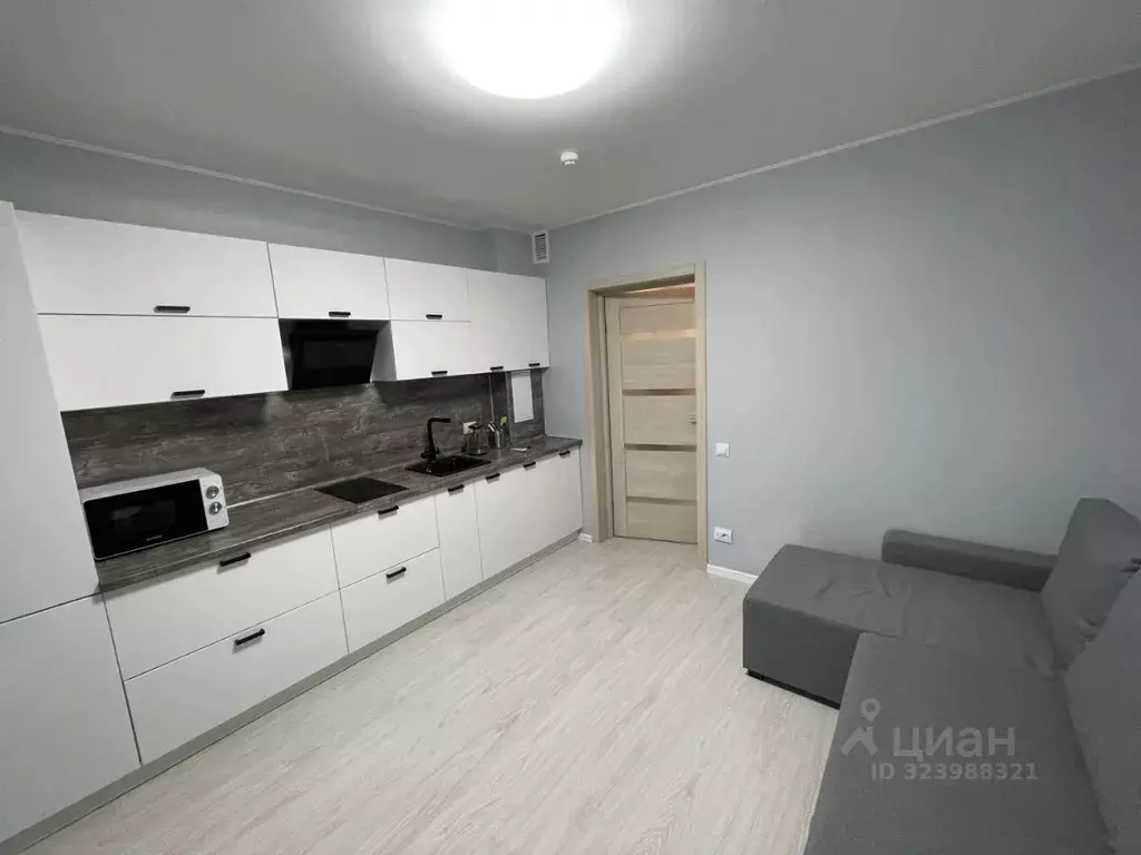 Студия Санкт-Петербург наб. Реки Каменки, 21к1 (19.0 м) - Фото 2