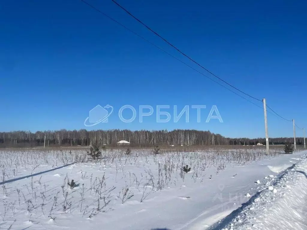 Участок в Тюменская область, Тюменский район, с. Каменка, Подушкино ... - Фото 0