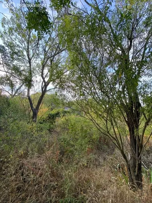 Дом в Феодосия, СТ Ветеран (50 м) - Фото 2