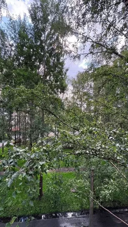2-к кв. Санкт-Петербург ул. Коллонтай, 21К2 (45.7 м) - Фото 0