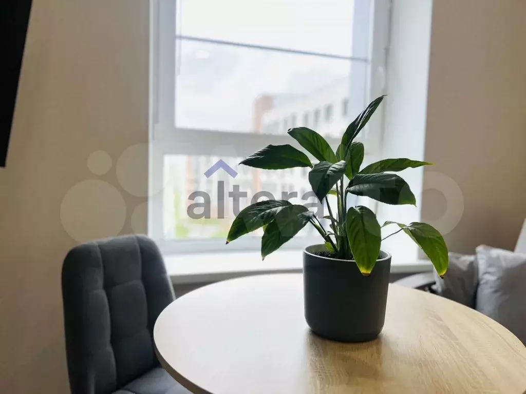 Квартира-студия, 33,7 м, 6/10 эт. - Фото 1