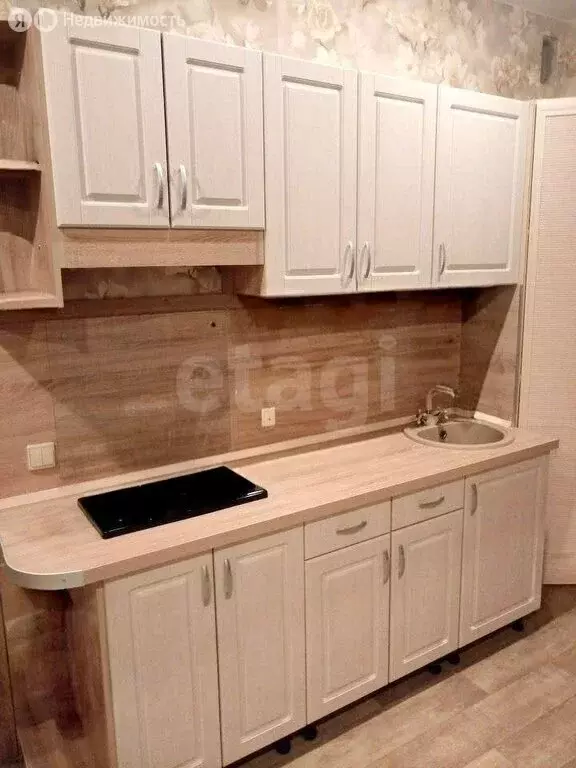 Квартира-студия: Новоселье, Центральная улица, 10к1 (23 м) - Фото 2