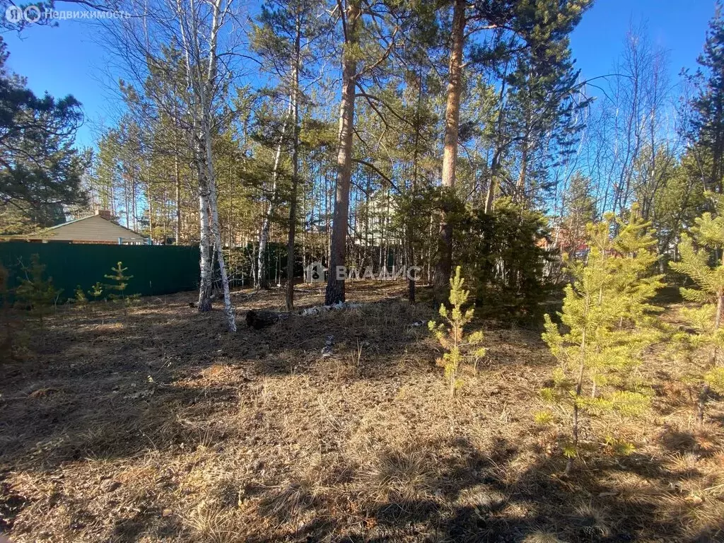 Участок в Читинский район, ДНП Титан (12.61 м) - Фото 2