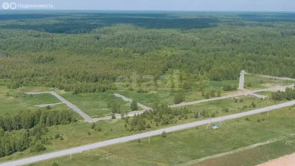 Участок в Тюменская область, Нижнетавдинский муниципальный округ, КП ... - Фото 2