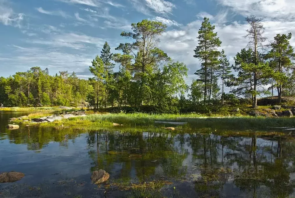 Участок в Карелия, Питкярантский муниципальный округ, д. Острова ... - Фото 2