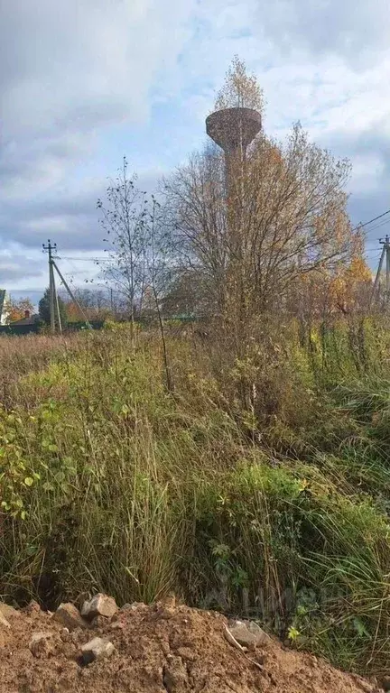 Участок в Московская область, Дмитровский муниципальный округ, д. ... - Фото 2