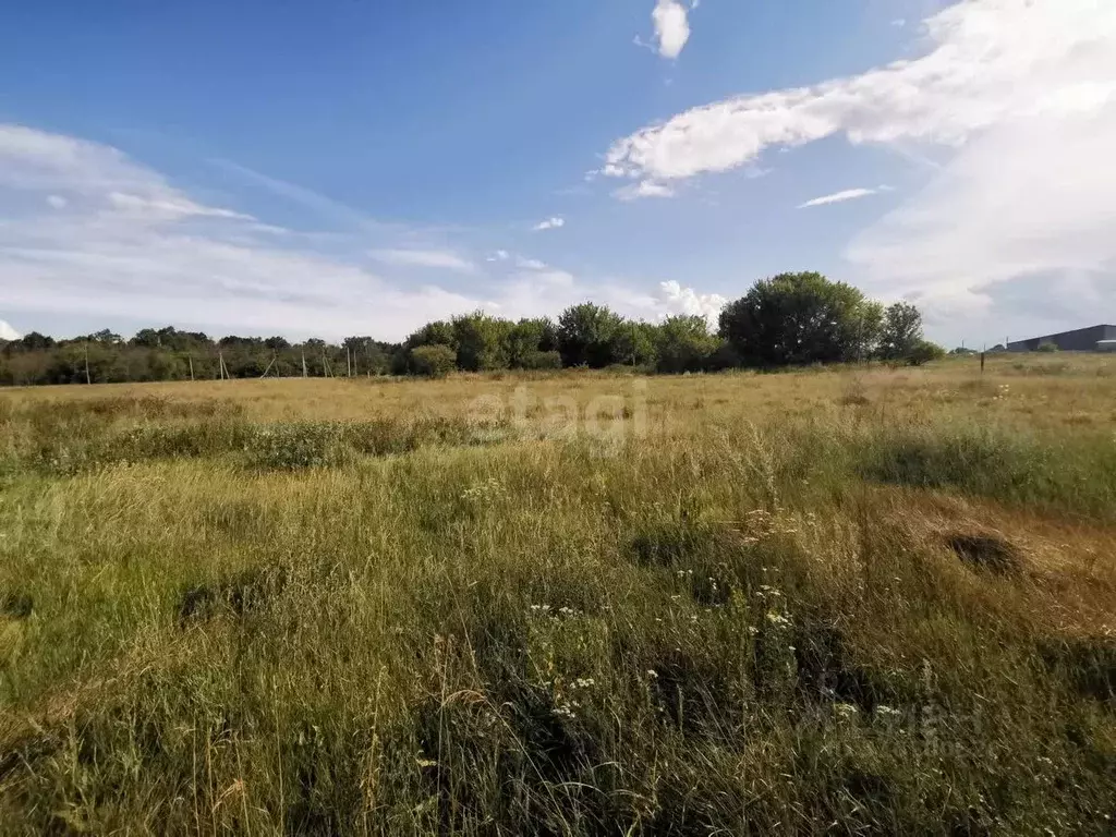 Участок в Белгородская область, Валуйский муниципальный округ, с. ... - Фото 2